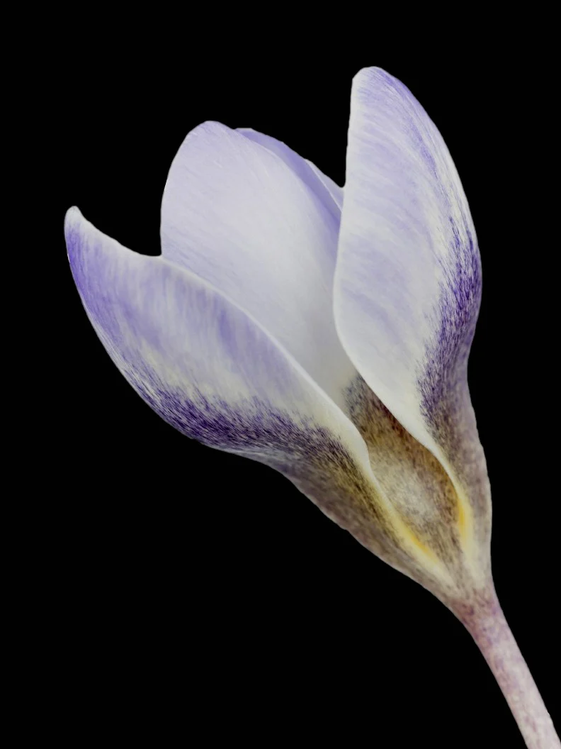 Miniatyrbild 1