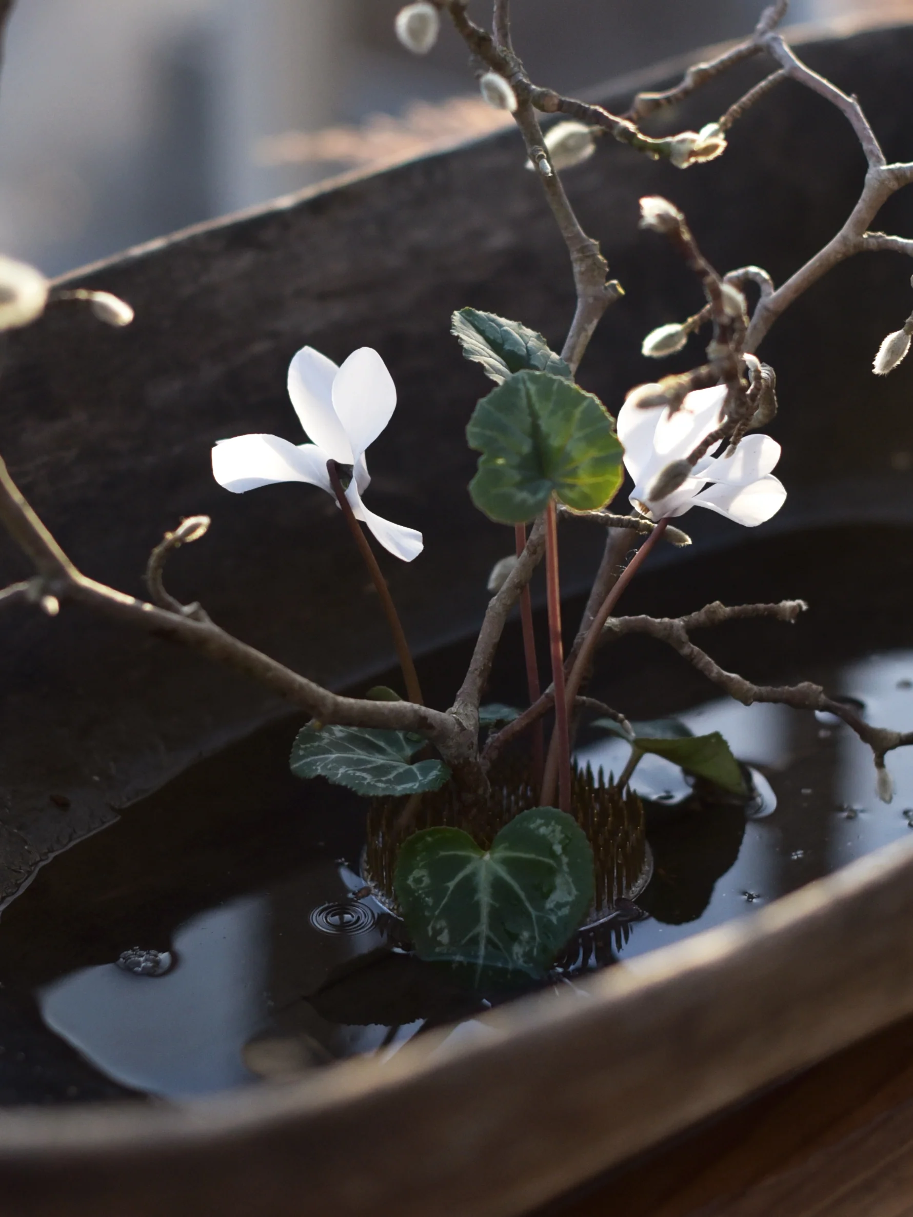 Blomsterfakir Liten - Image 3