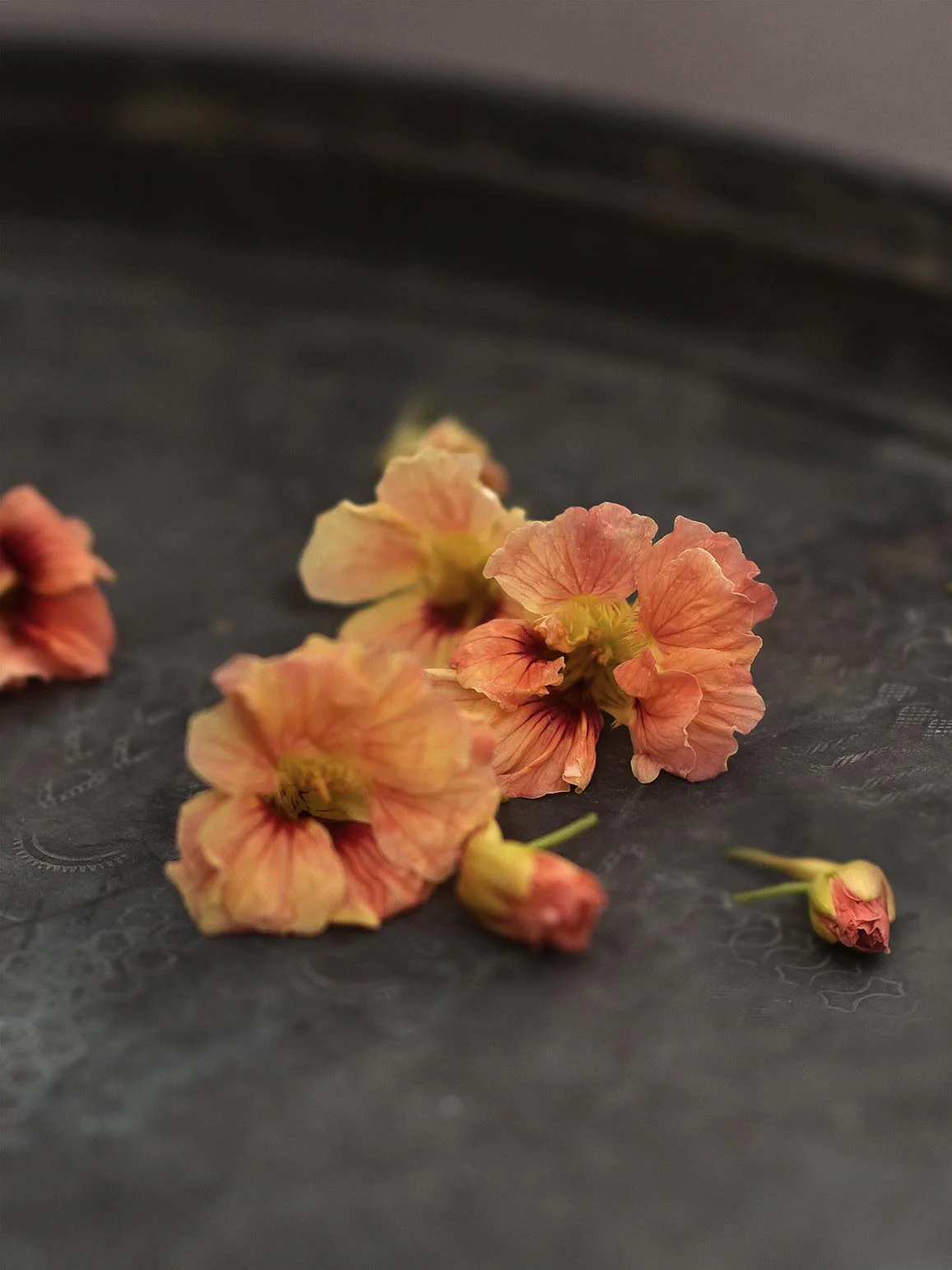 Blomsterkrasse 'Gleam Salmon' - Image 3