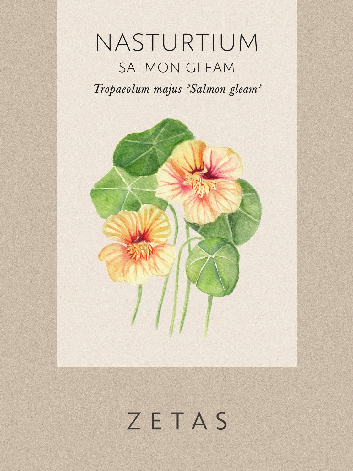 Blomsterkrasse 'Gleam Salmon' - Image 4
