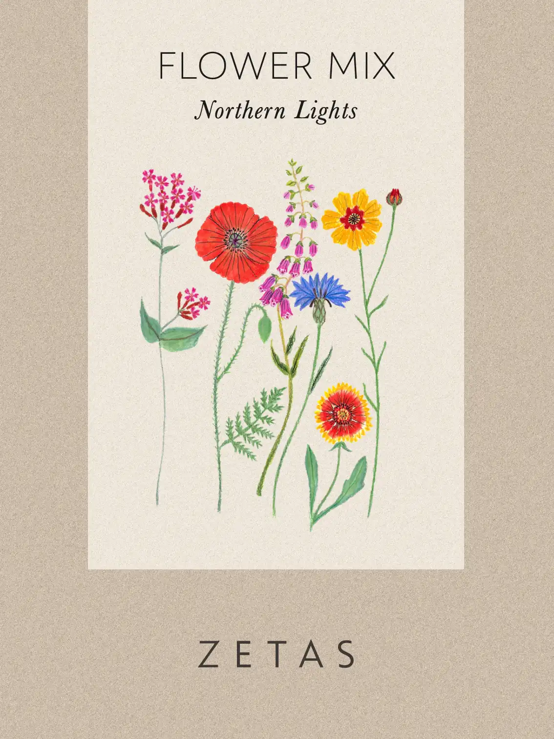 Blomstermix 'Northern Lights' - Image 4