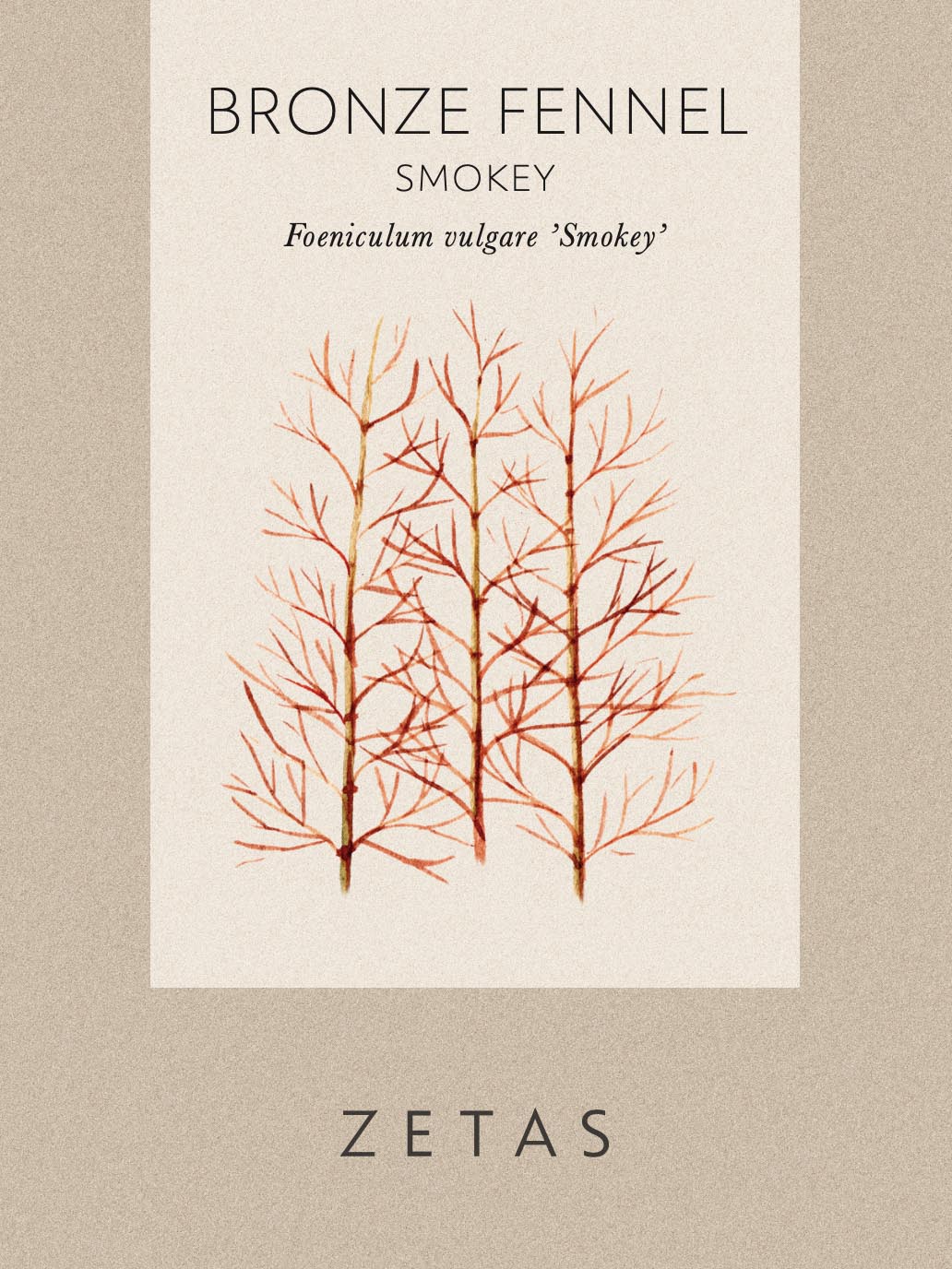Bronsfänkål 'Smokey' - Image 2
