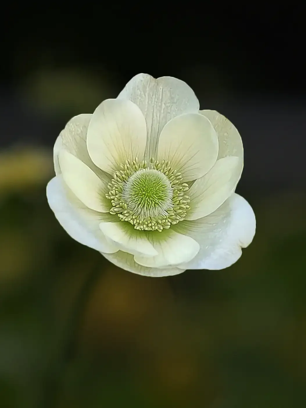 Miniatyrbild 1