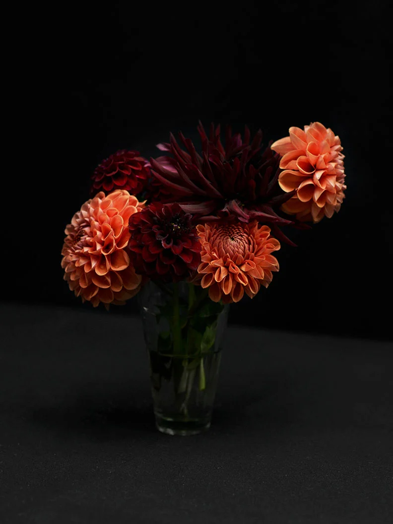 Miniatyrbild 2