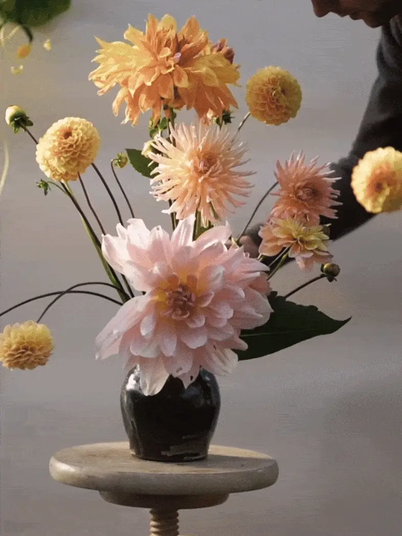 Miniatyrbild 1