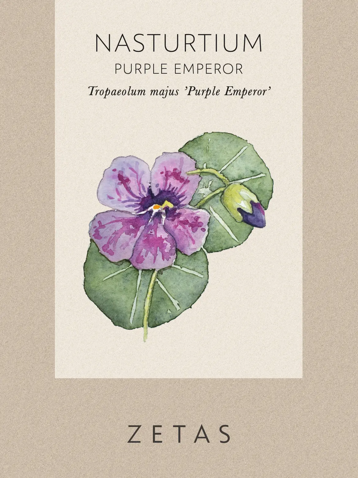 Slingerkrasse 'Purple Emperor' - Image 4