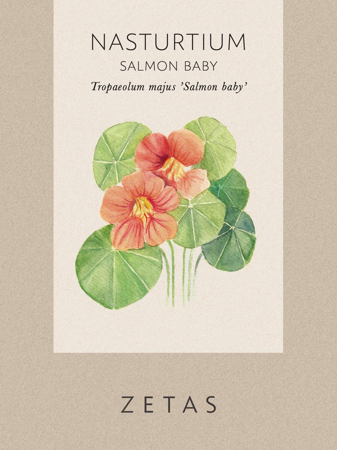 Dvärgkrasse 'Salmon Baby' - Image 4