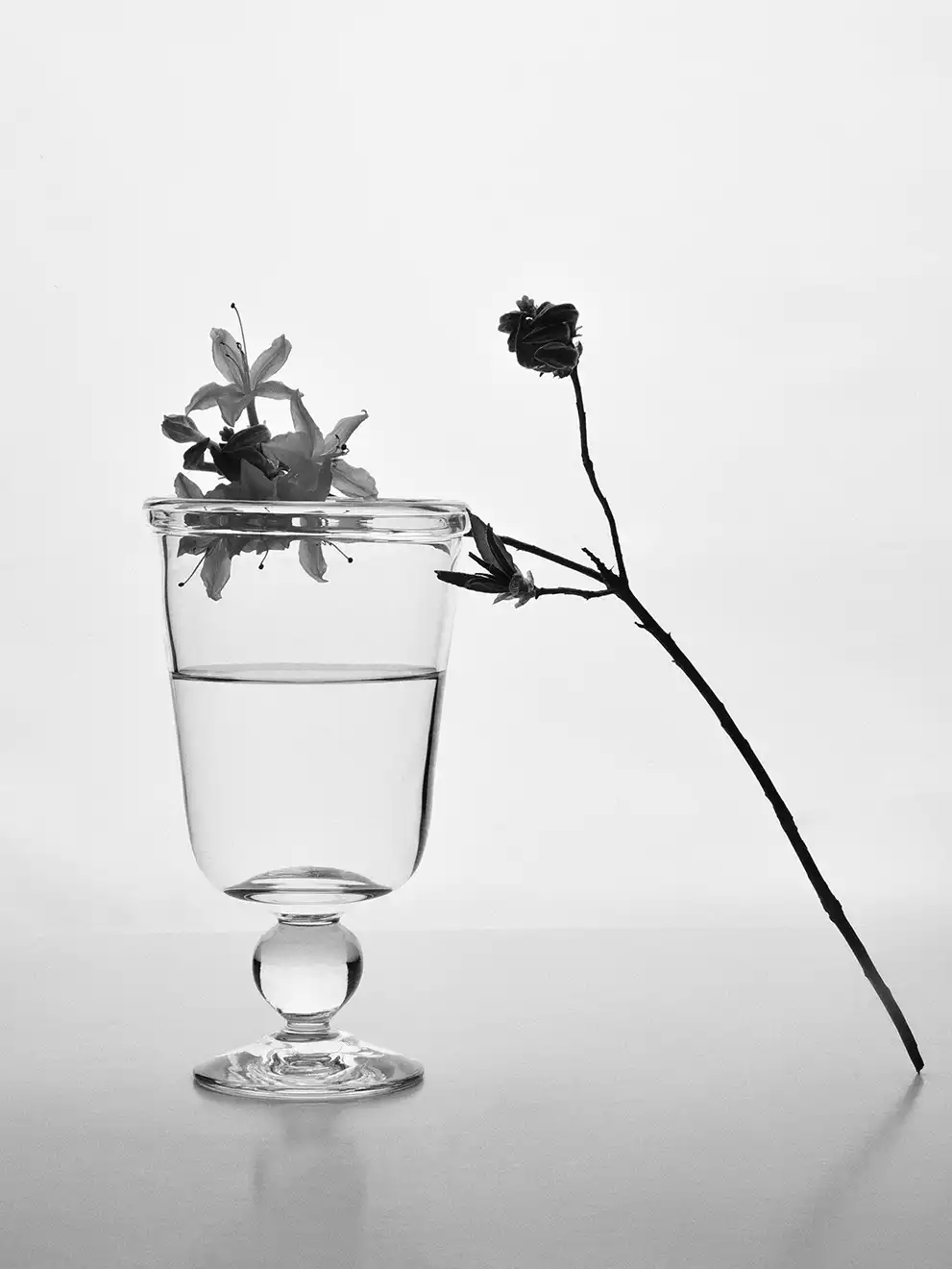 Miniatyrbild 2