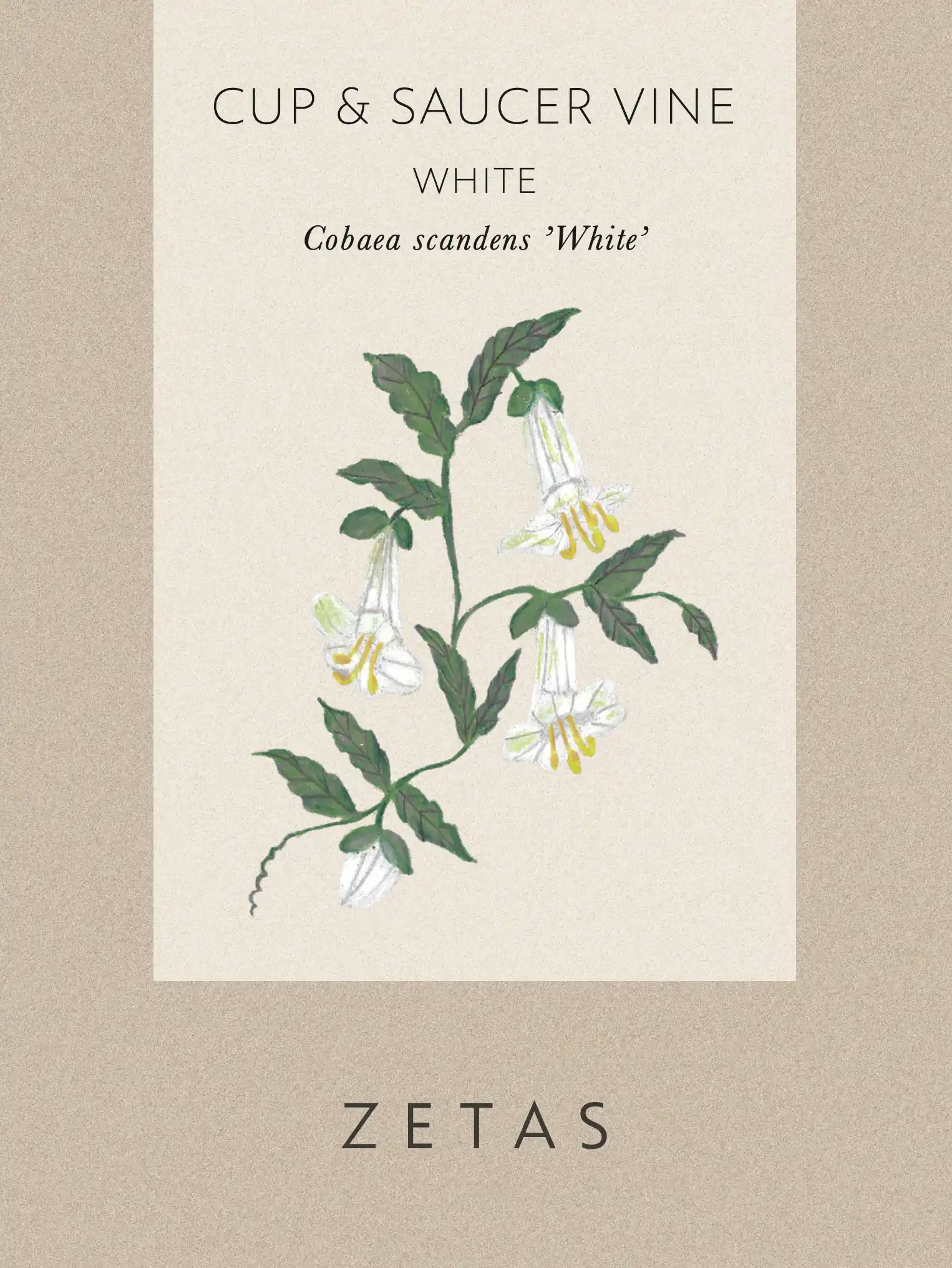 Klockranka 'White' - Image 4
