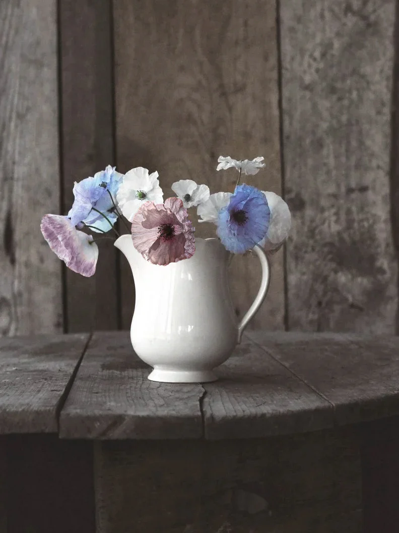 Miniatyrbild 2
