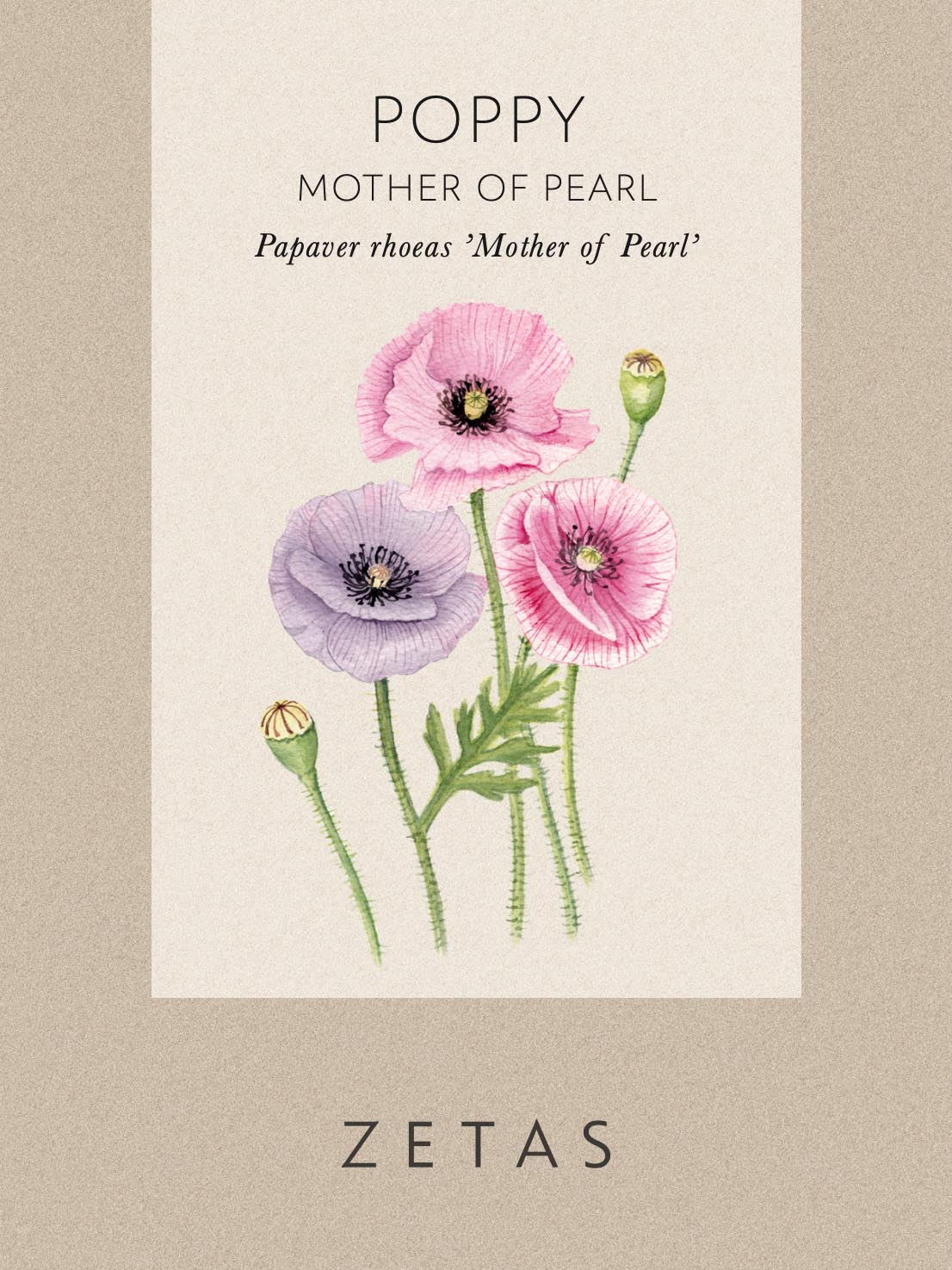 Kornvallmo 'Mother Of Pearl' - Image 4