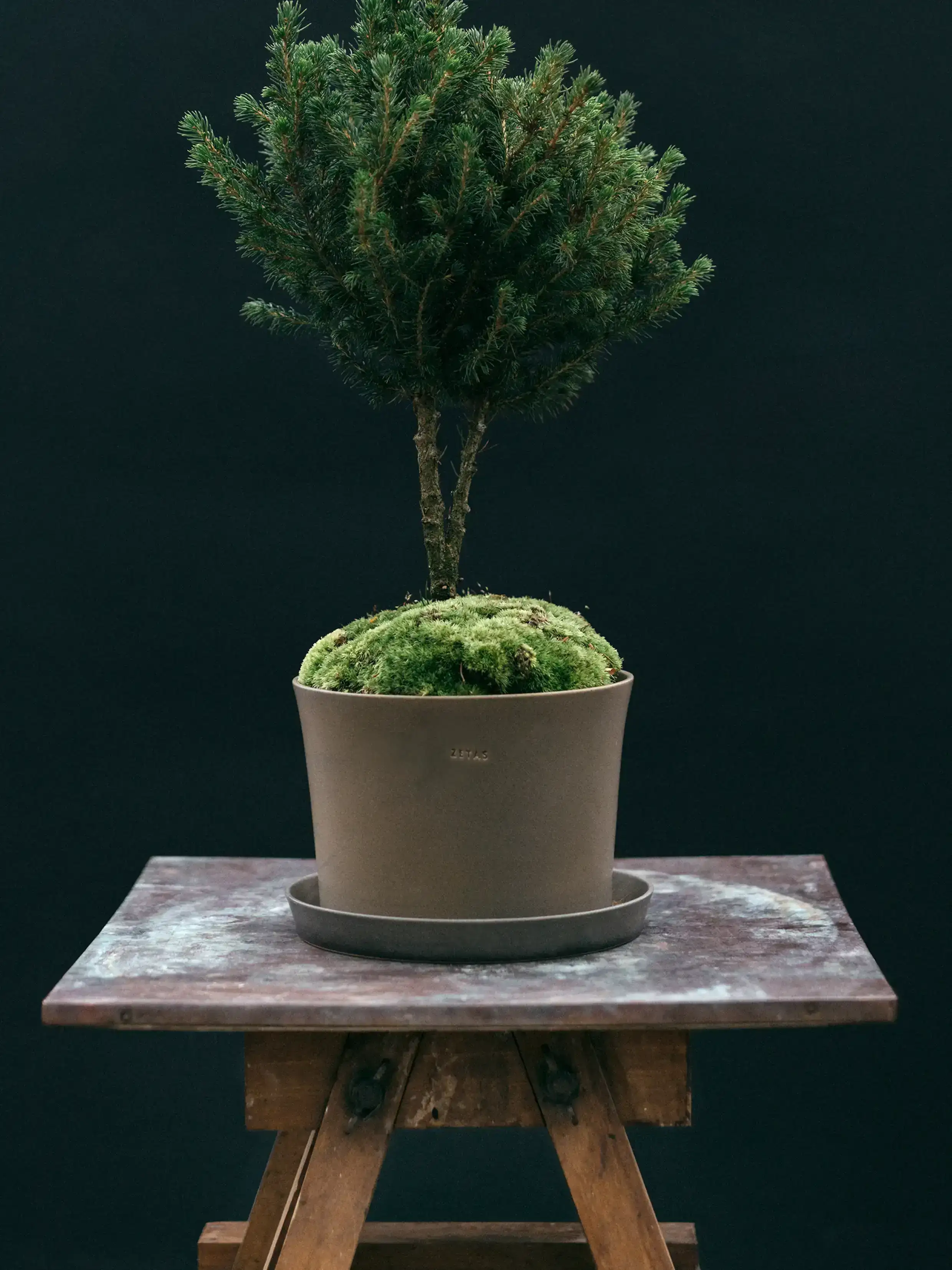 Kruka 'Gro' Ø20,5 cm Sage Green - Image 3