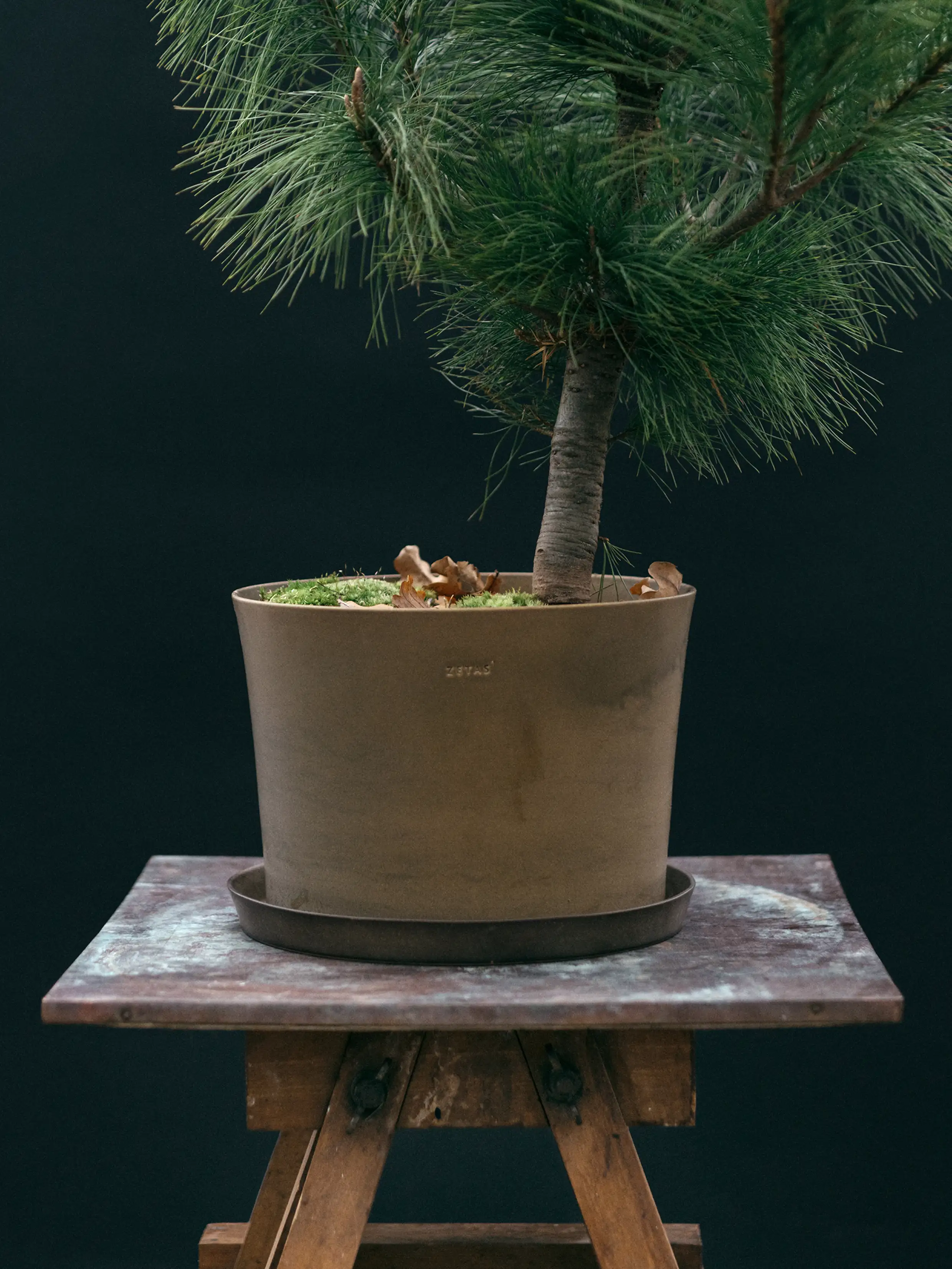 Kruka 'Gro' Ø25 cm Sage Green - Image 3