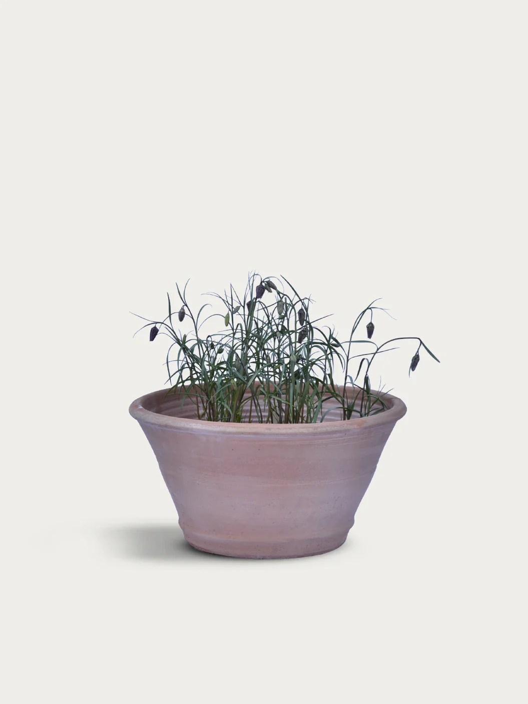 Miniatyrbild 1