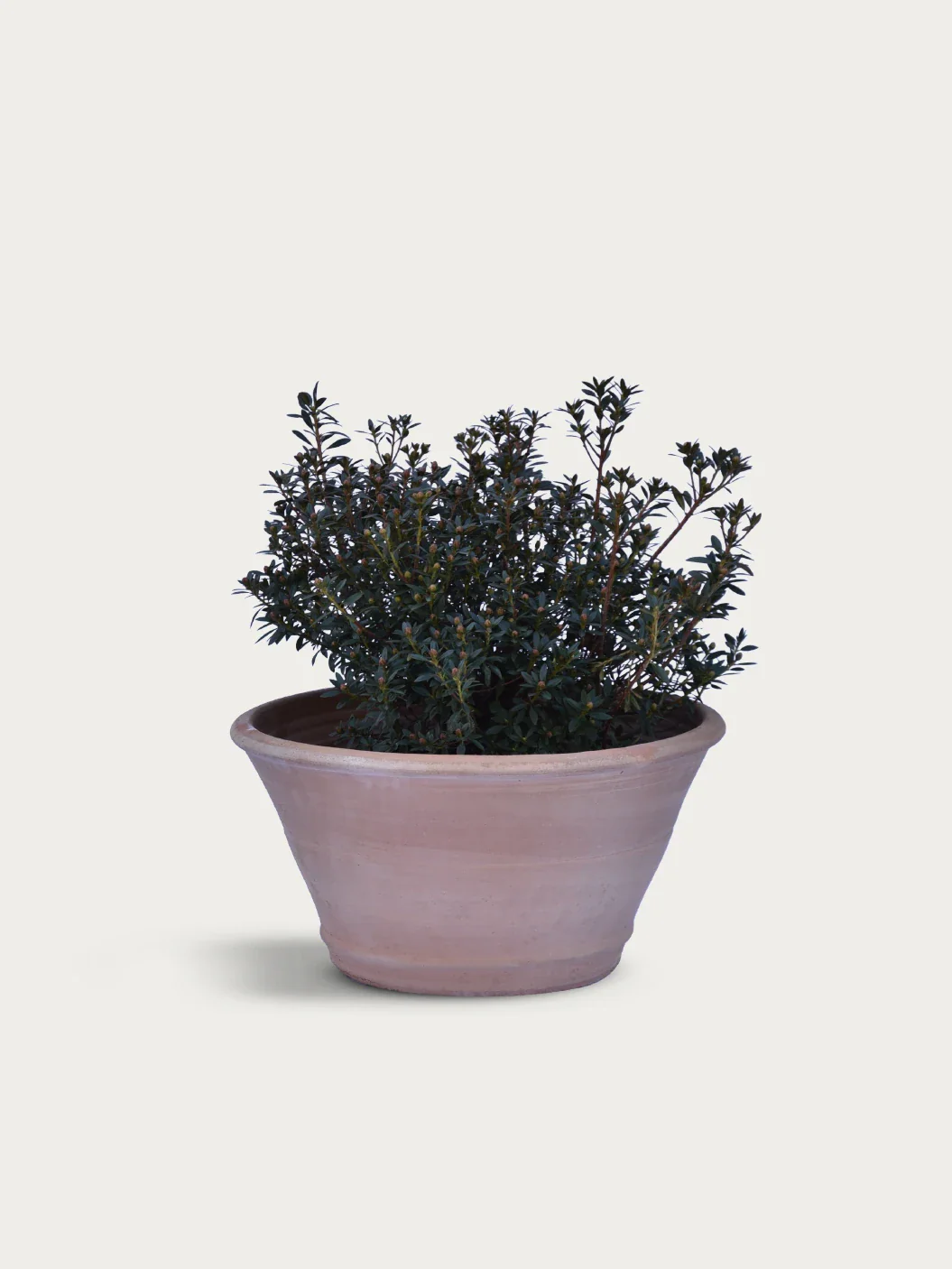 Kruka 'Megalo' 60x30cm - Image 3
