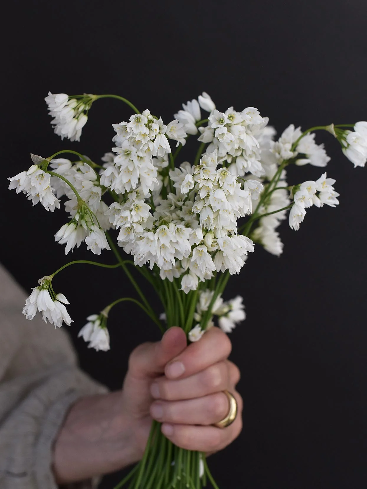 Majlök - Image 4