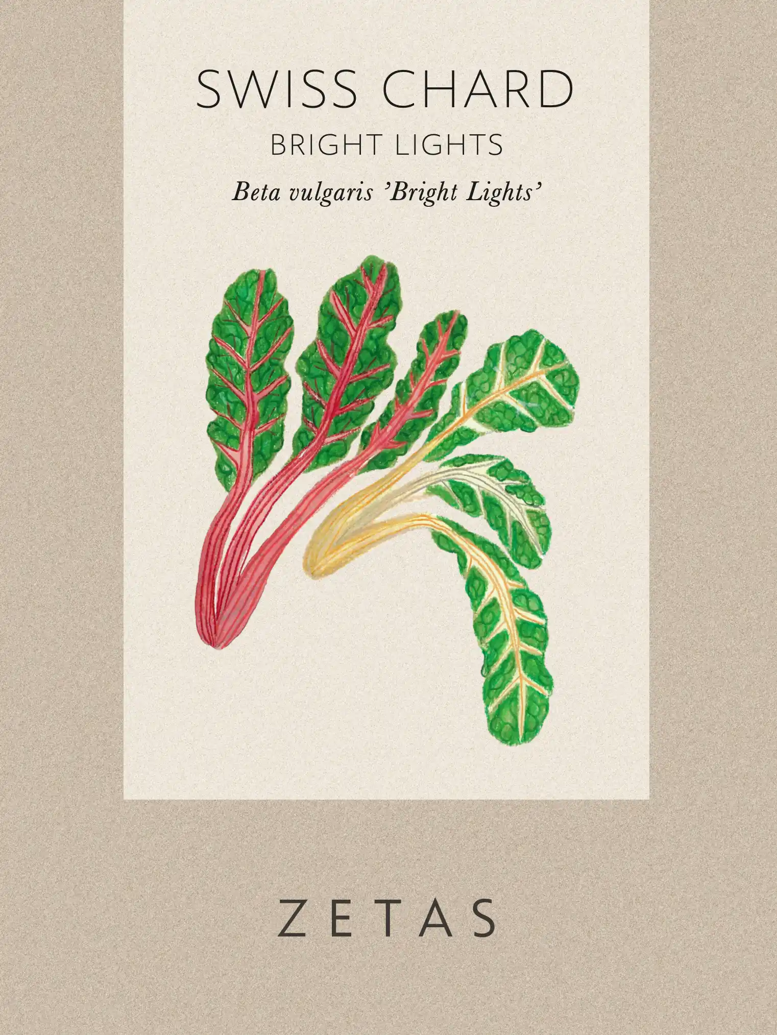 Mangold 'Bright Lights' - Image 3