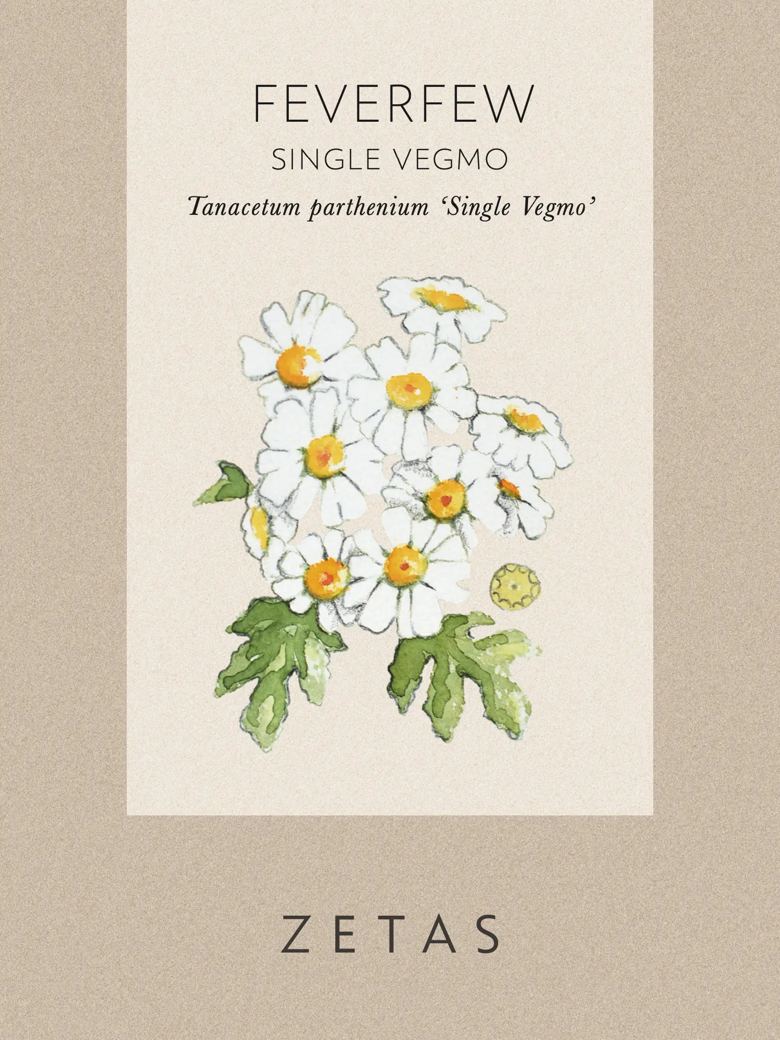 Mattram 'Vegmo Single' - Image 3