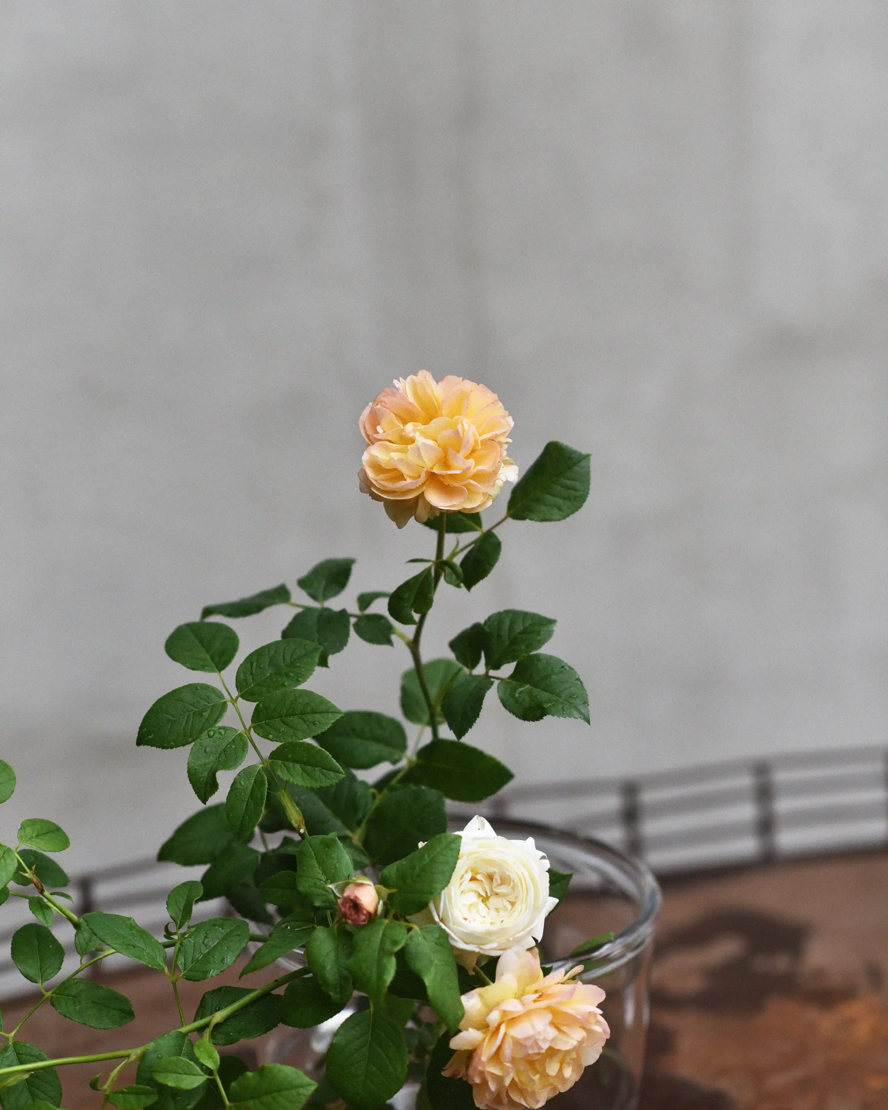 Miniatyrbild 2