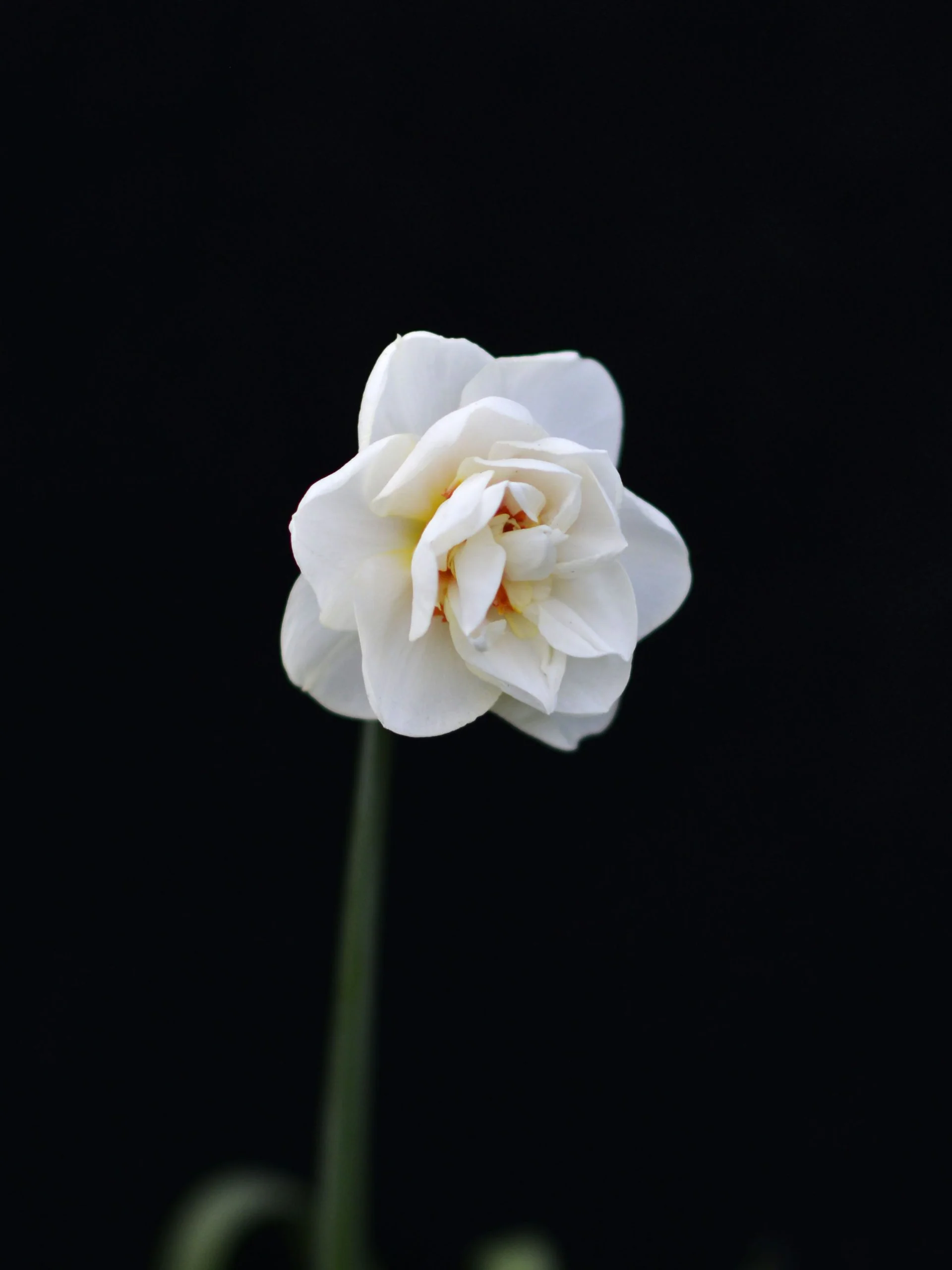 Miniatyrbild 2