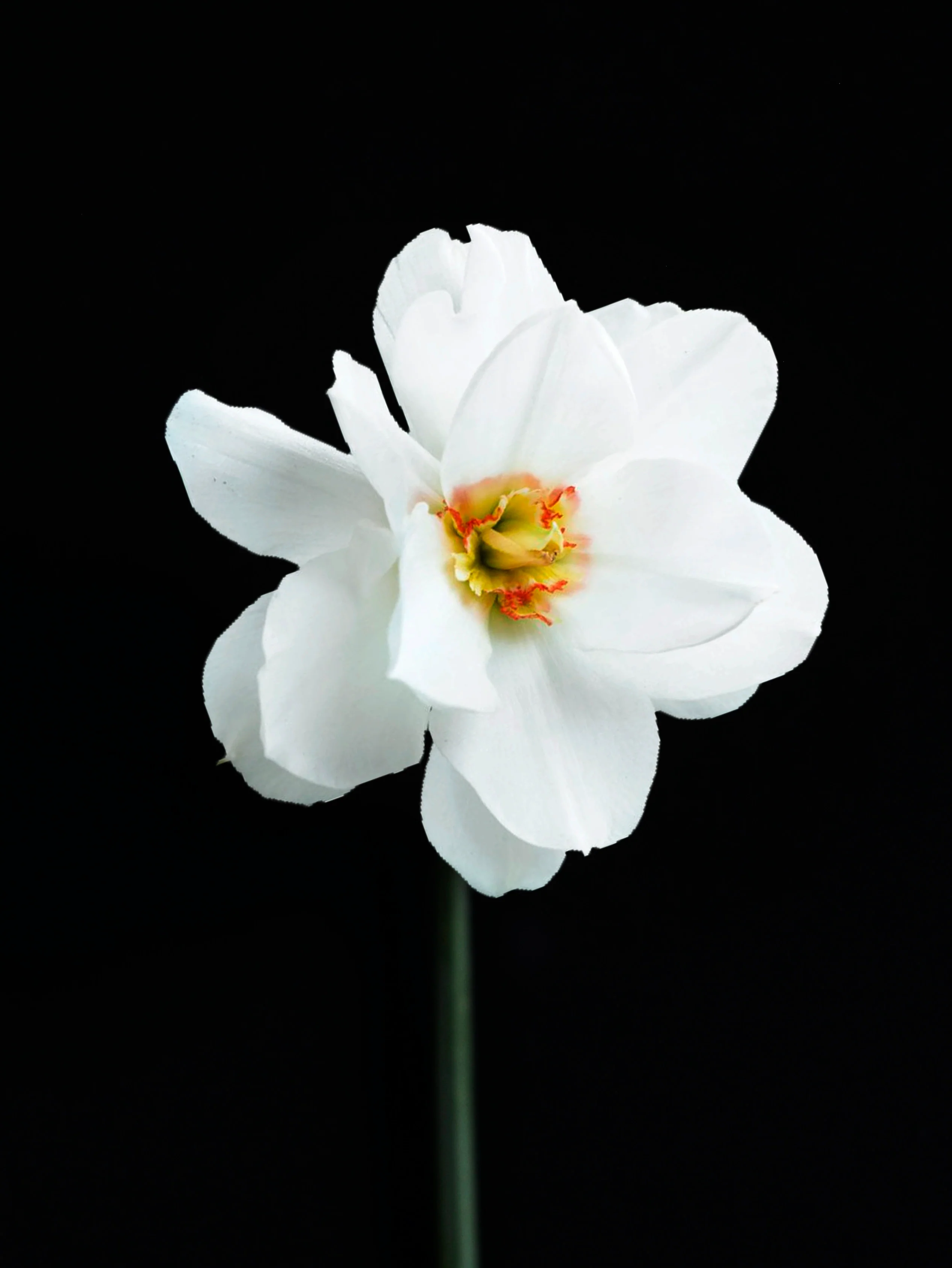 Miniatyrbild 1