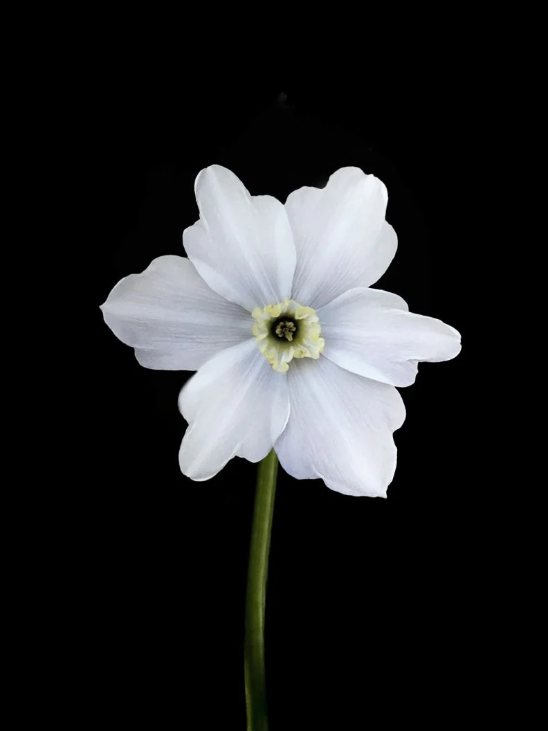 Miniatyrbild 1
