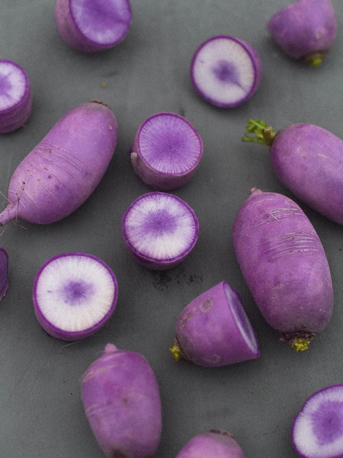 Rädisa/Daikon 'KN BRAVO F1' - Image 3