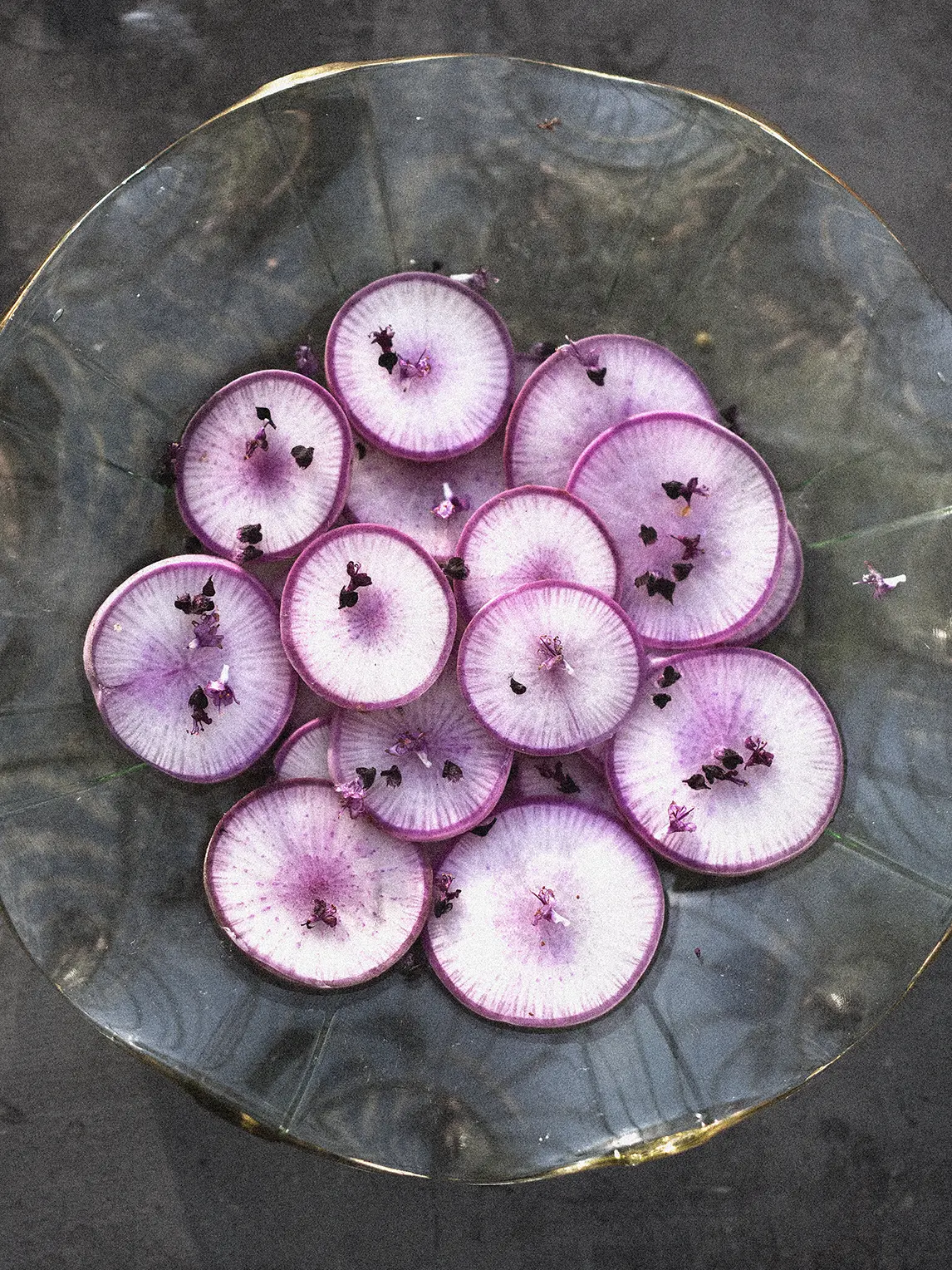 Rädisa/Daikon 'KN BRAVO F1' - Image 5