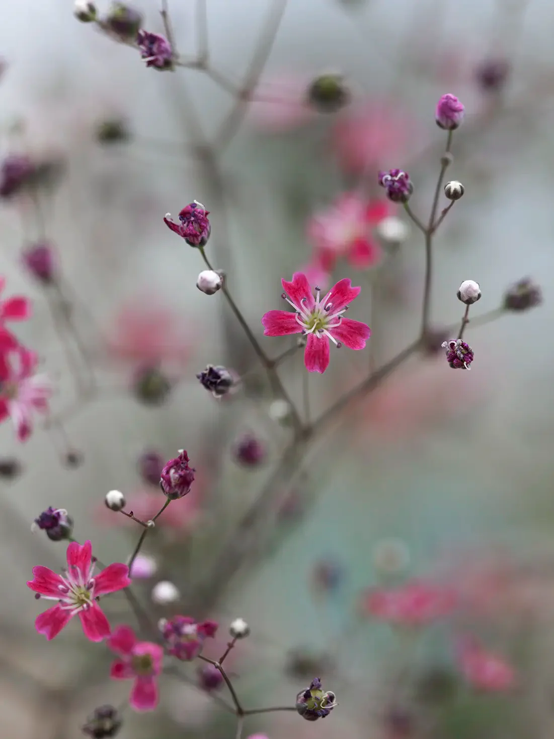 Miniatyrbild 1