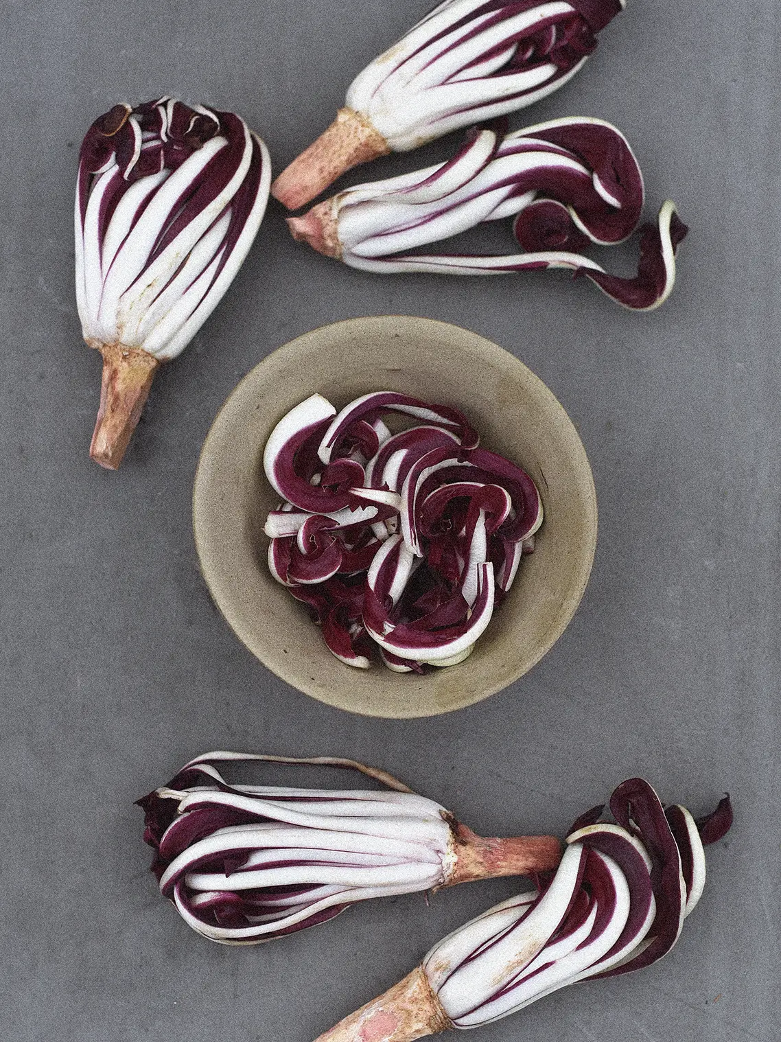 Rosensallat, Radicchio 'Cagnani' - Image 2