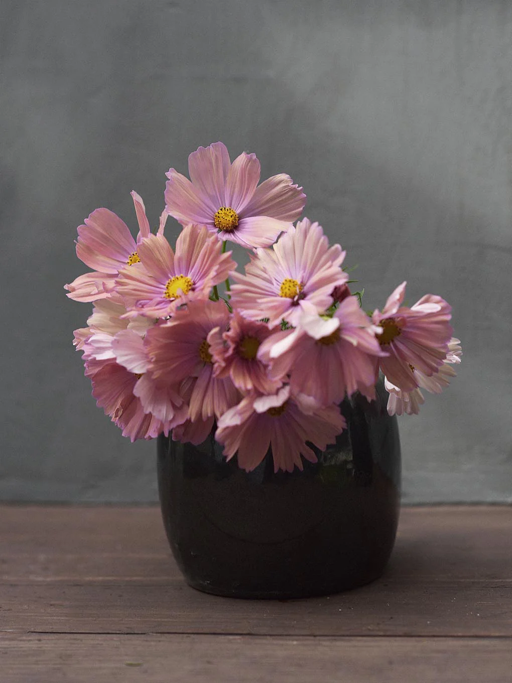 Miniatyrbild 1
