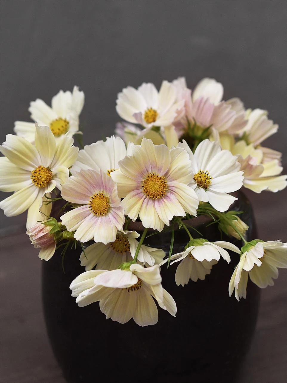 Miniatyrbild 1
