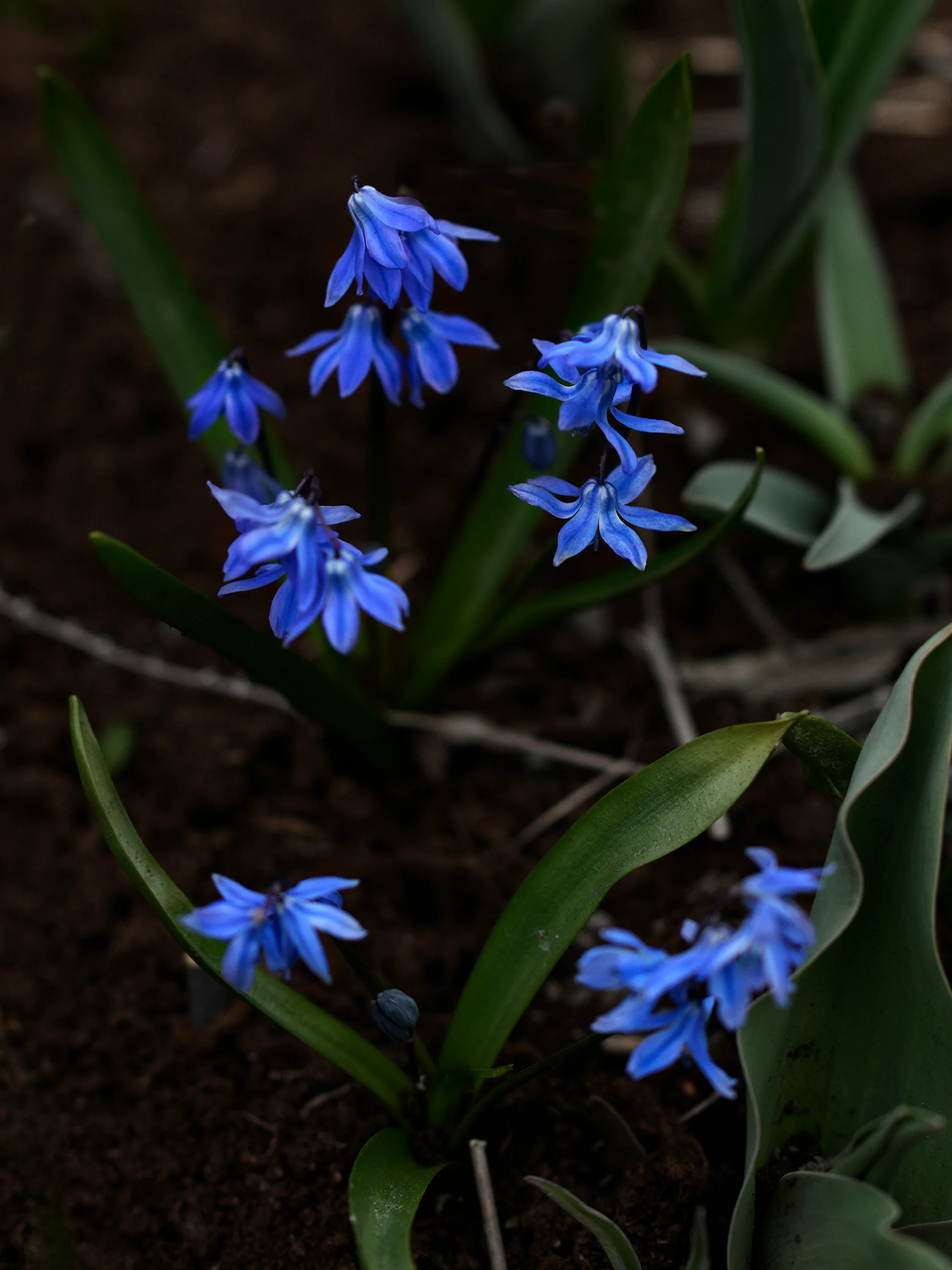 Miniatyrbild 1