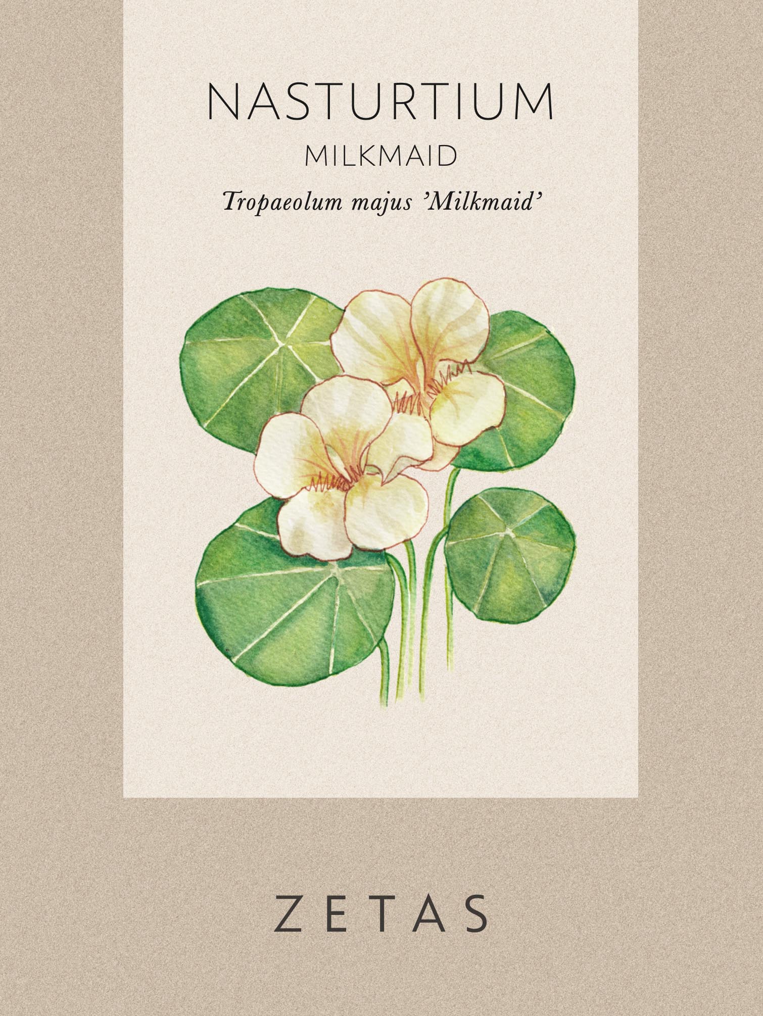 Slingerkrasse 'Milkmaid' - Image 6