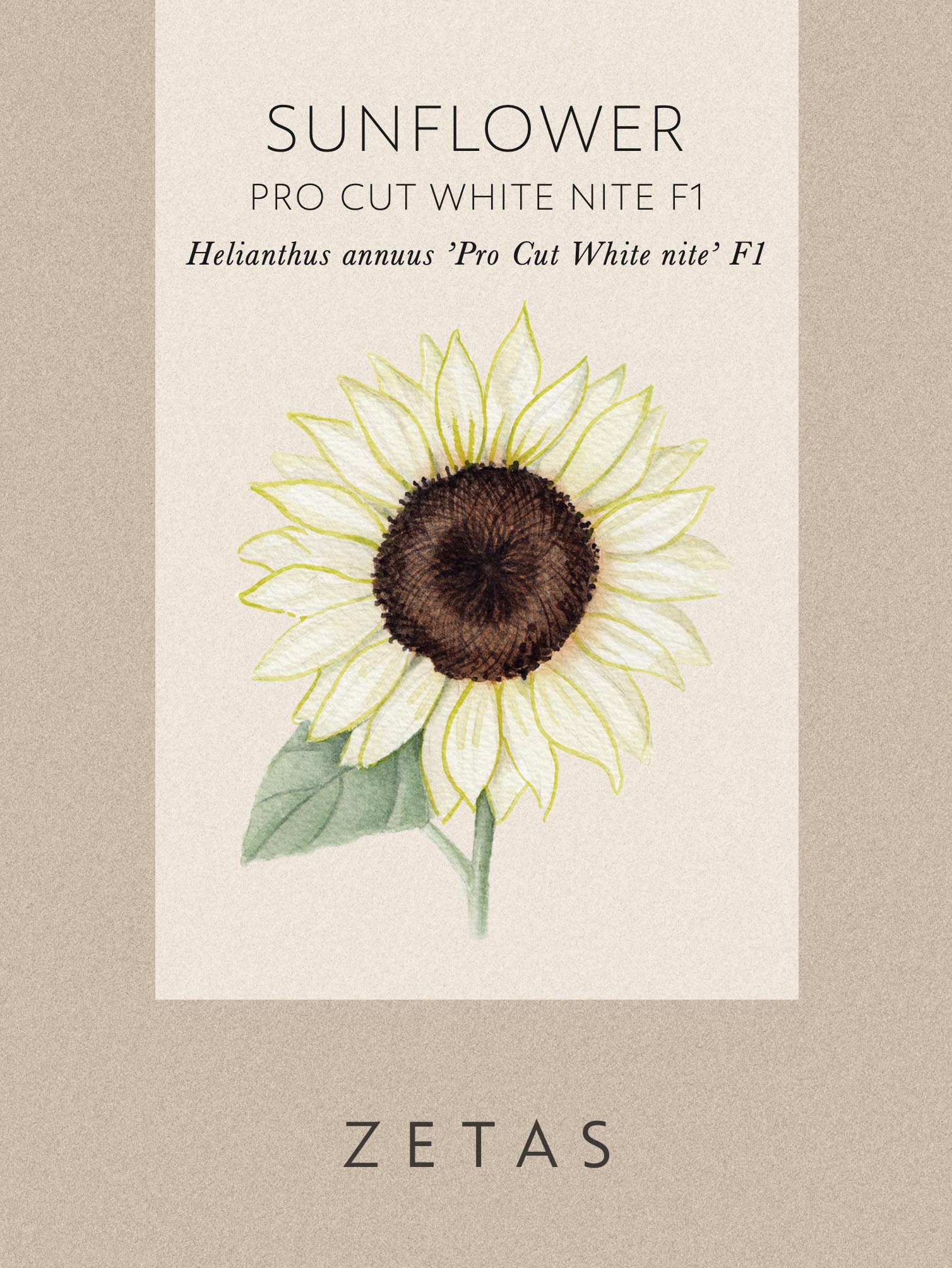 Solros 'Pro Cut White Nite' - Image 3