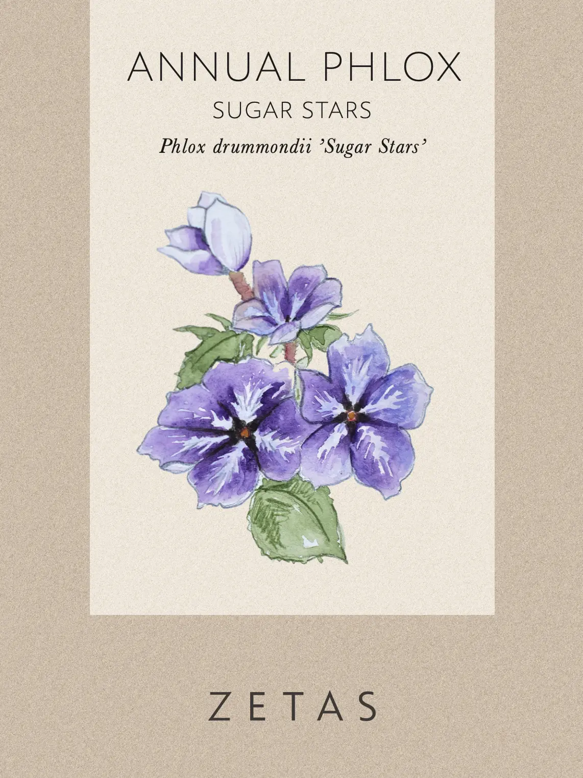 Sommarflox 'Sugar Stars' - Image 3