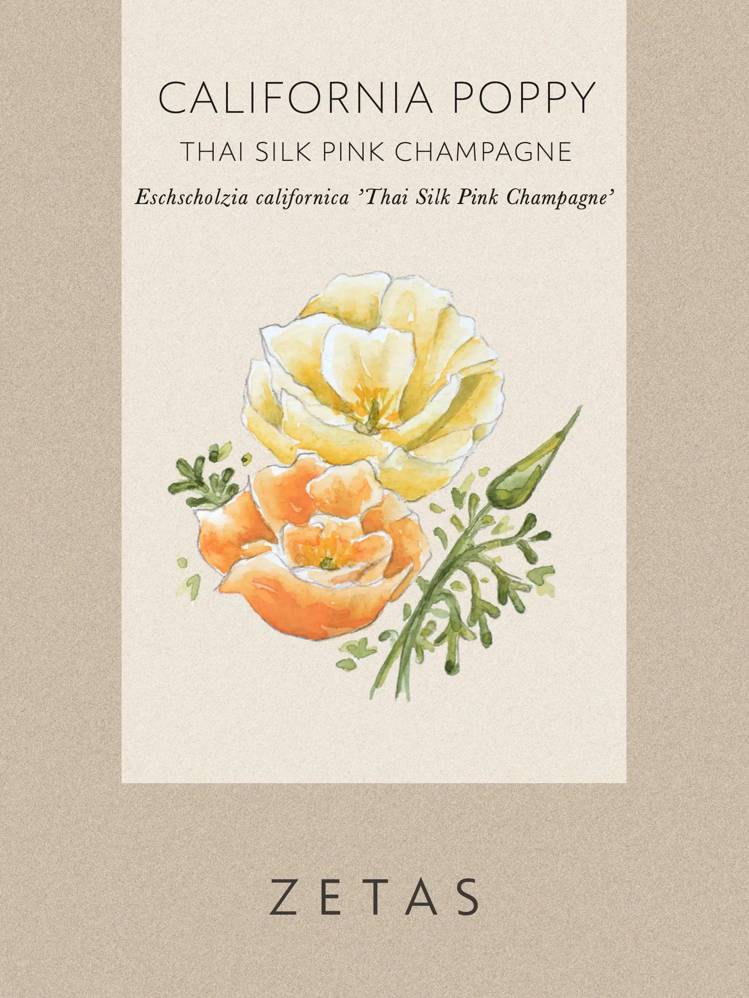 Sömntuta 'Thai Silk Pink Champagne' - Image 4