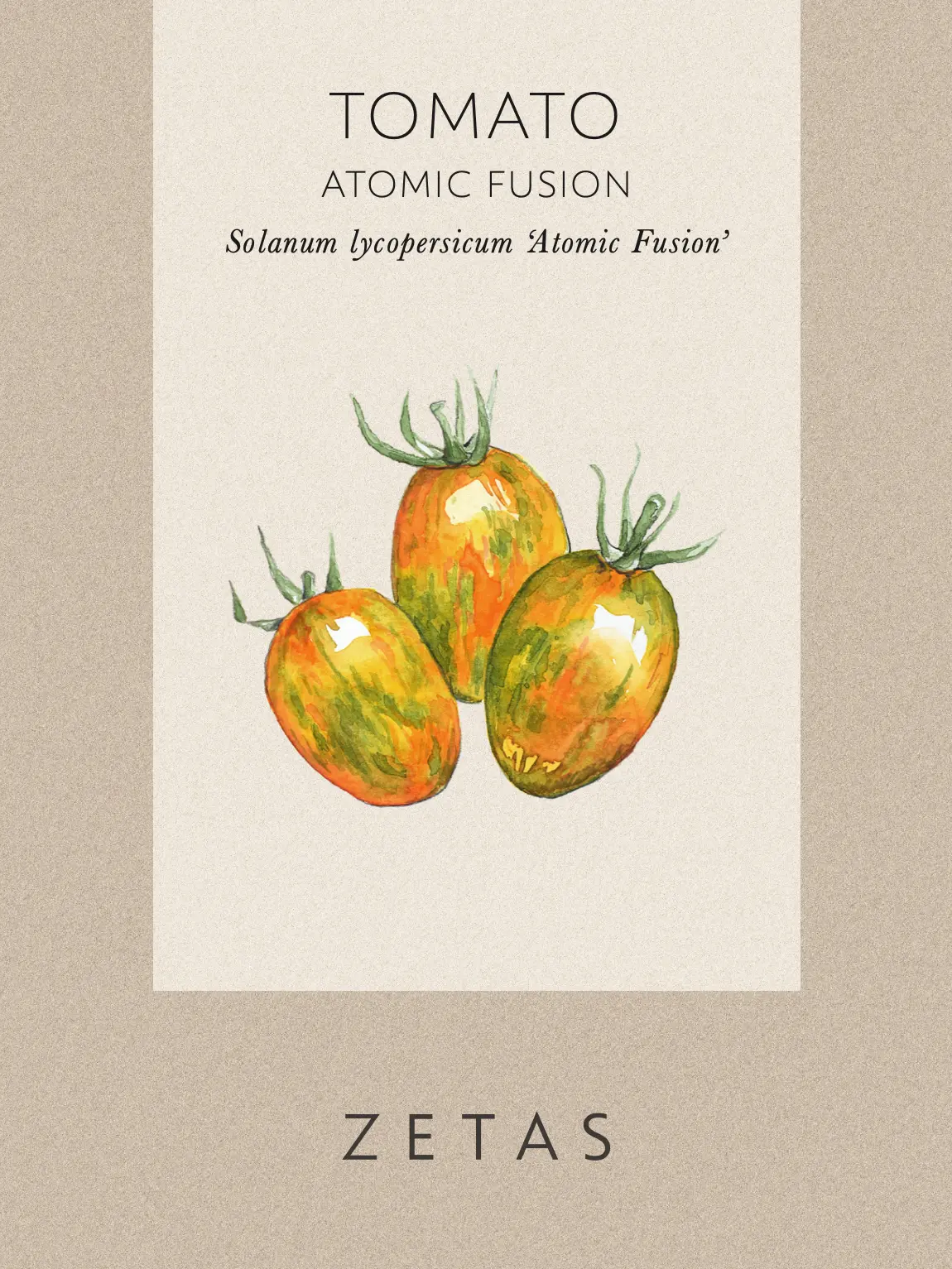 Tomat 'Atomic Fusion' - Image 2