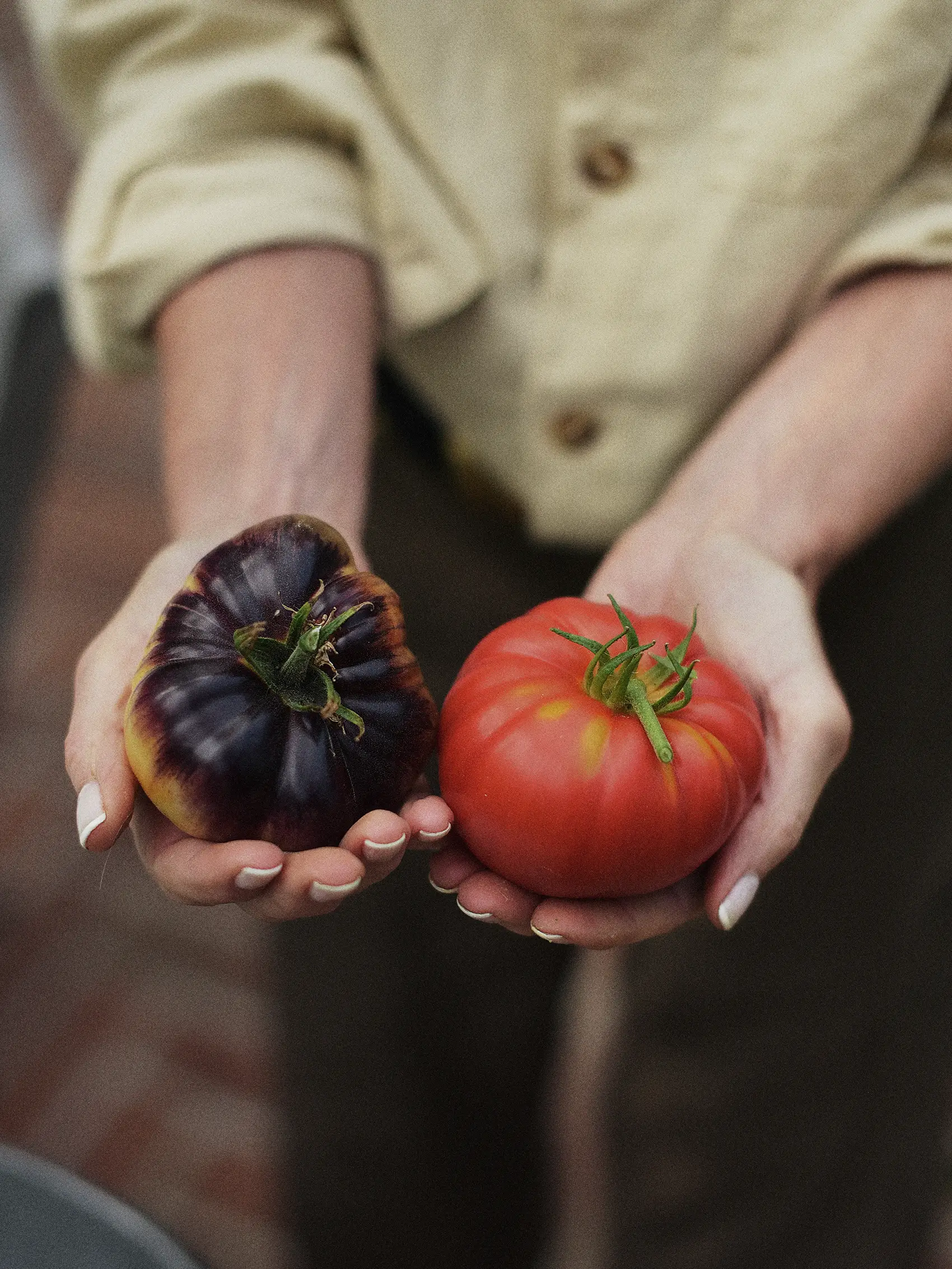 Tomatnäring Godare Tomater - Image 6