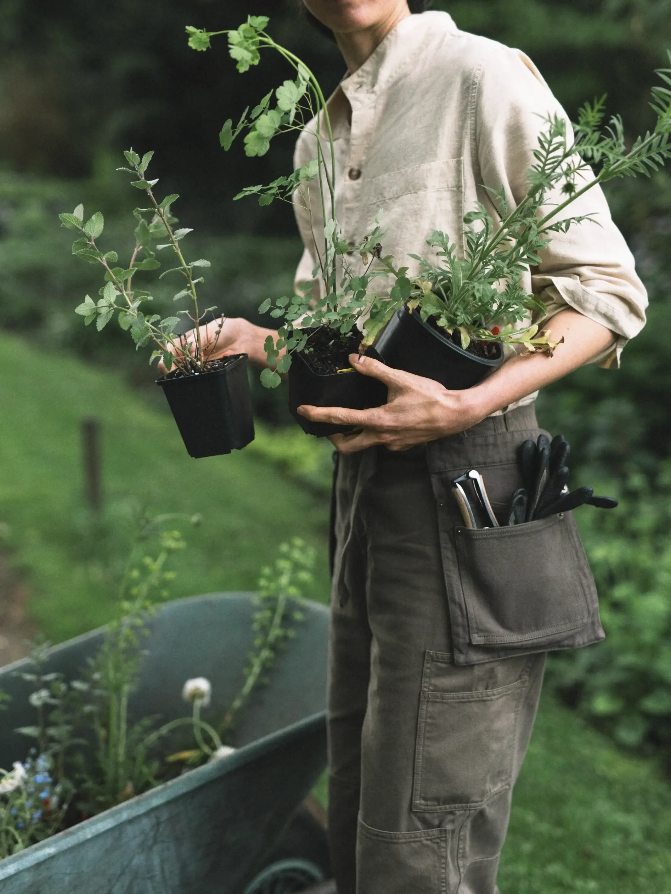 Trädgårdsbälte 'Mur' olive green - Image 6