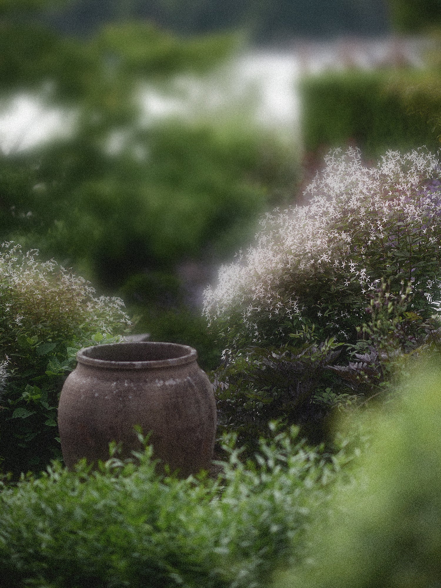 Trebladspira - Image 4