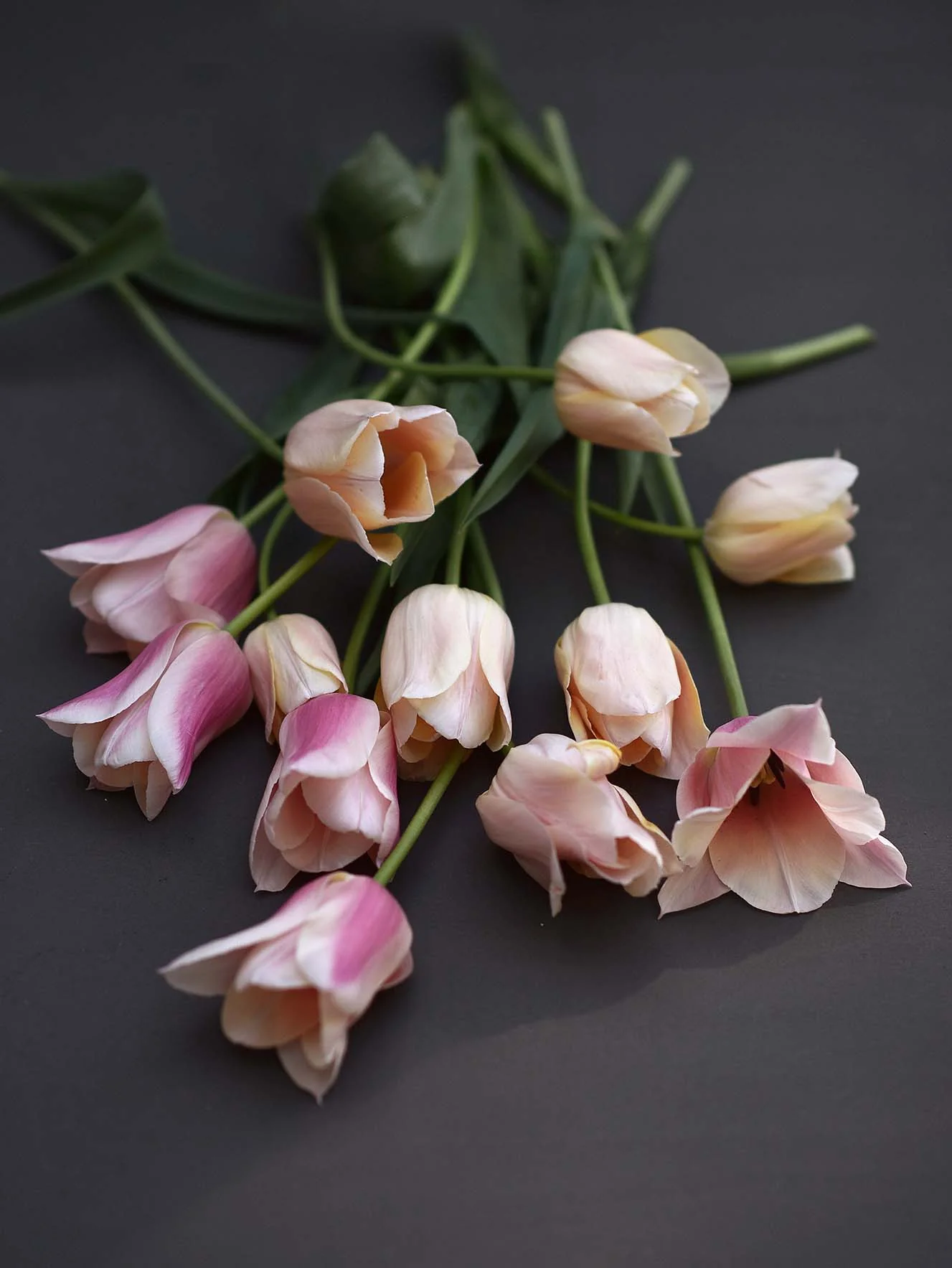 Miniatyrbild 1