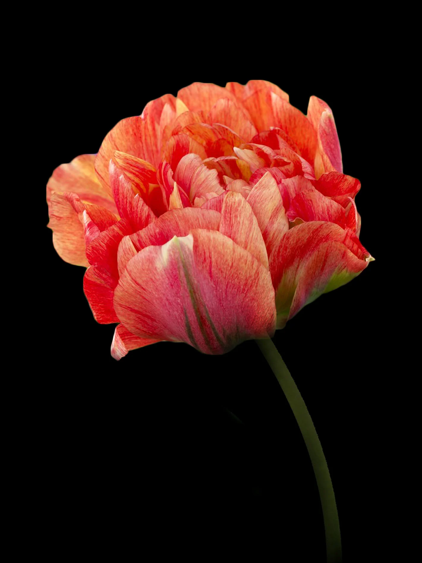 Miniatyrbild 1