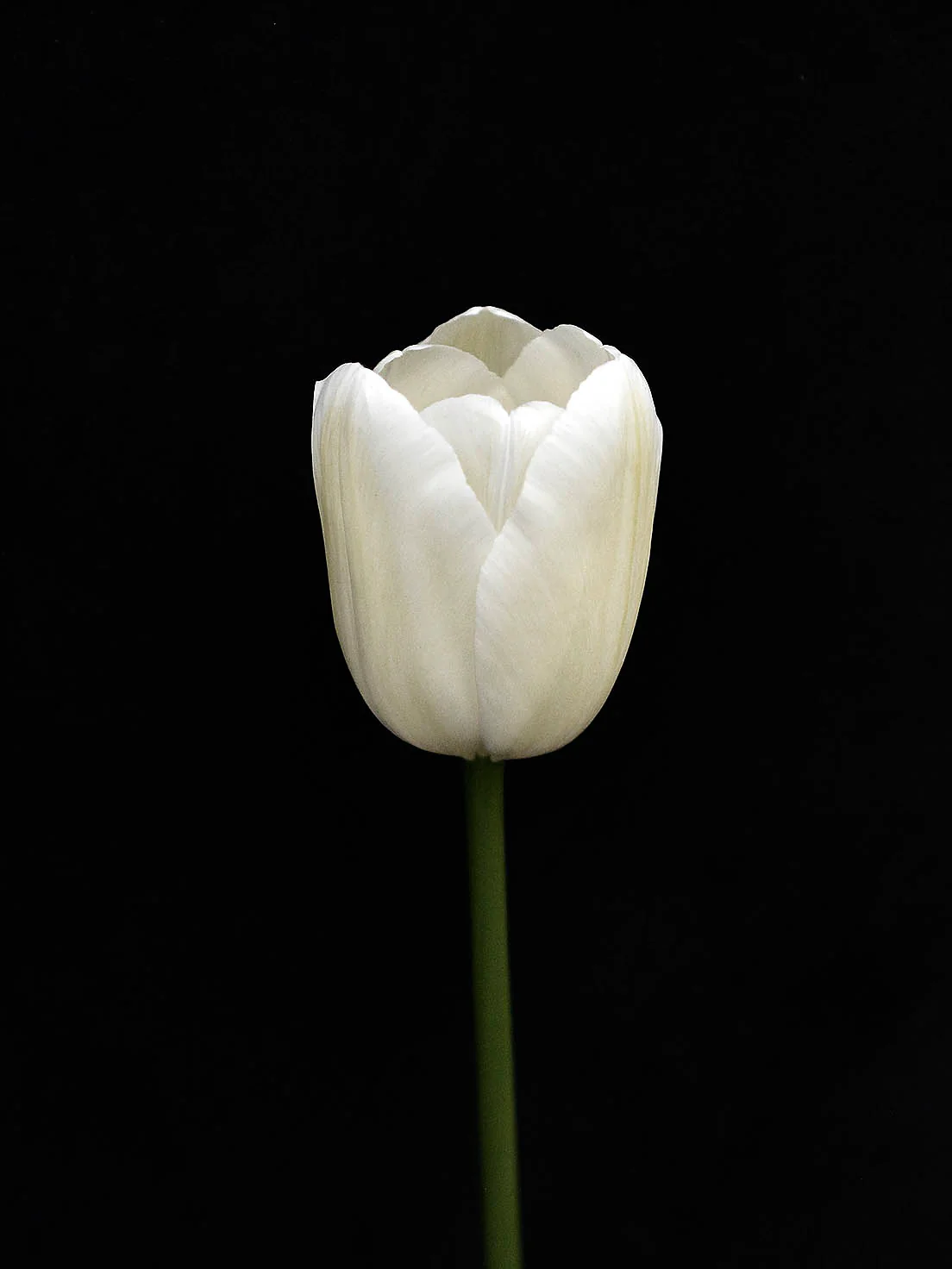 Miniatyrbild 1