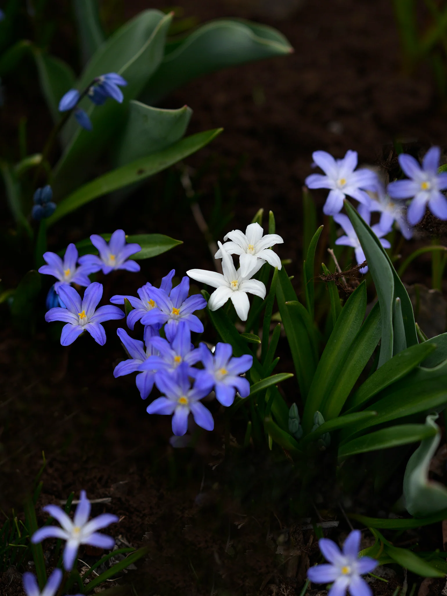 Miniatyrbild 1