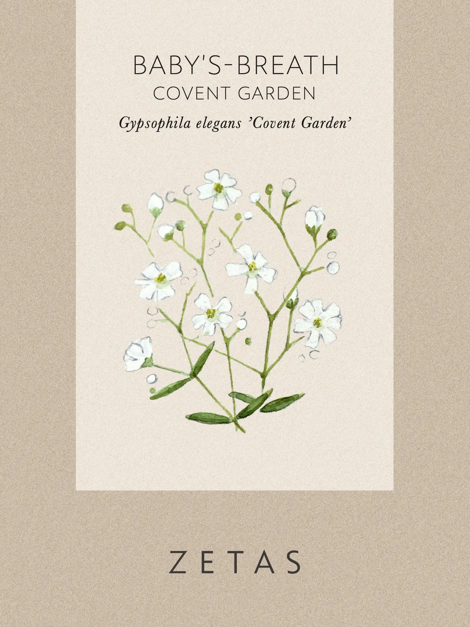 Vit sommarslöja 'Covent Garden' - Image 3