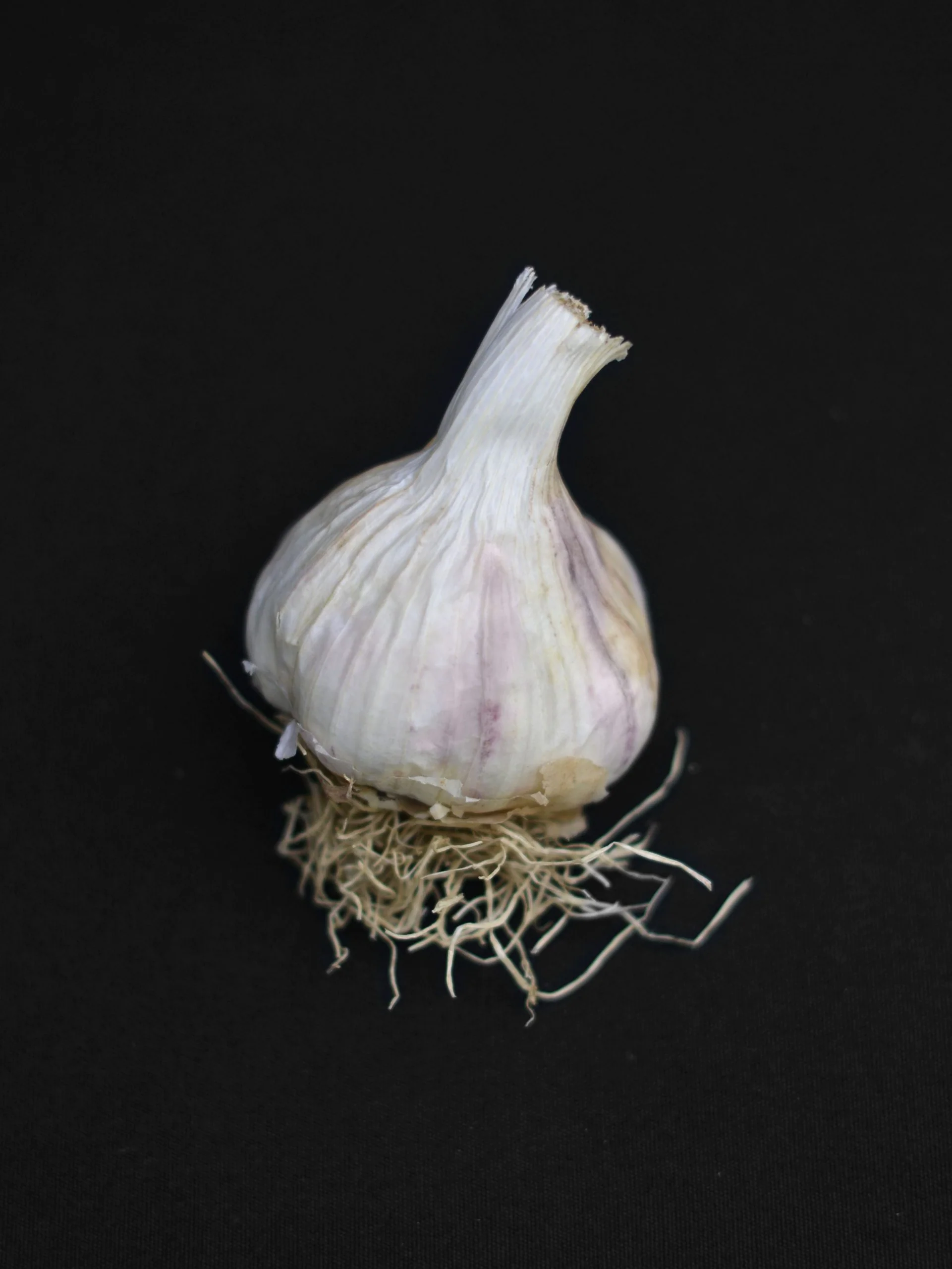 Miniatyrbild 1